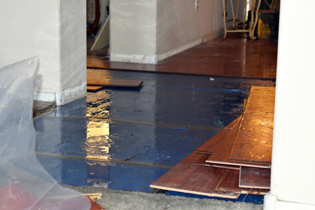 Professional Water Damage Restoration technician working in Camden, MS